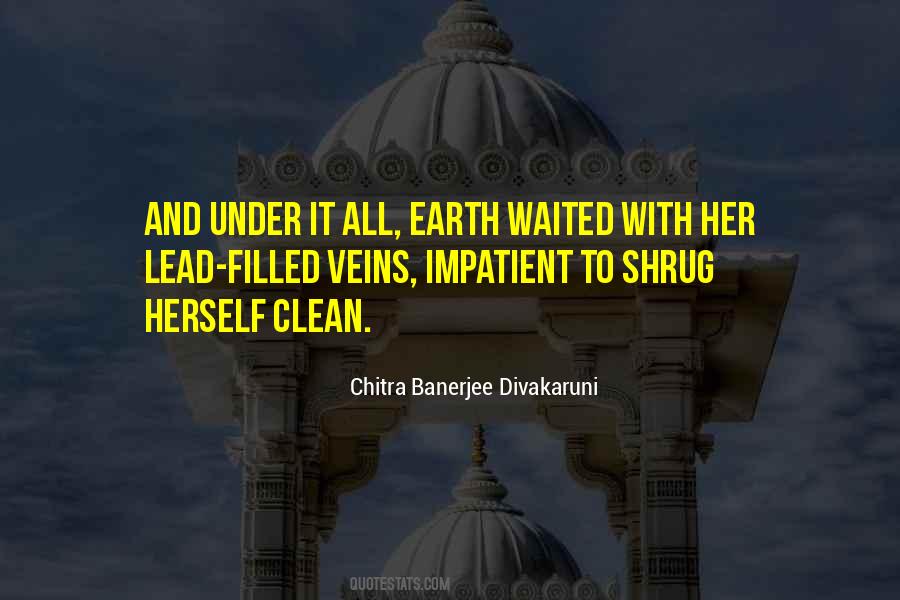 Chitra Banerjee Divakaruni Quotes #1002717