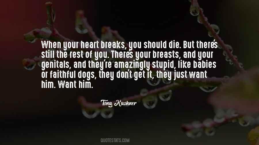 Quotes About Stupid Dogs #166392