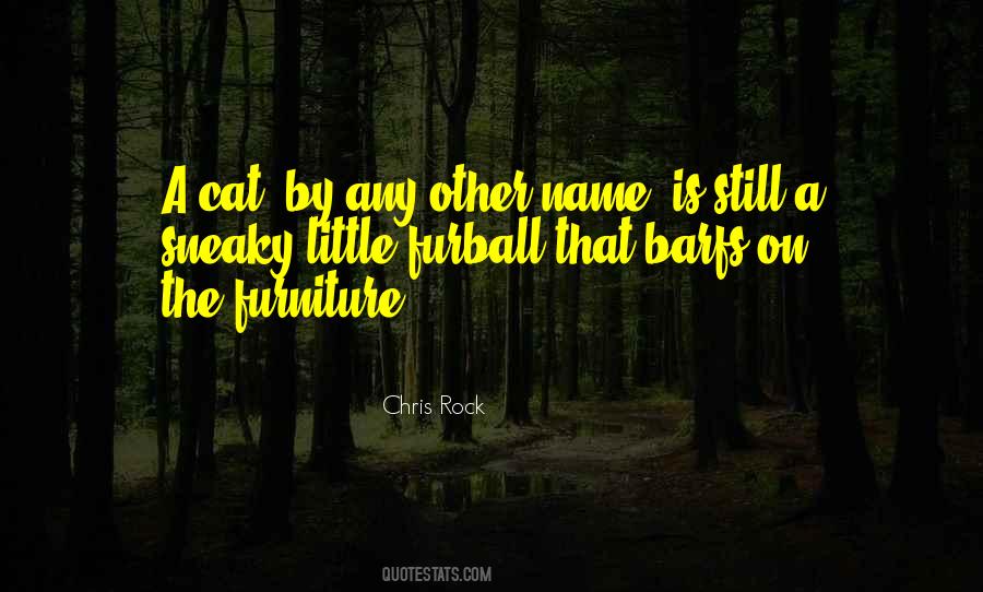 Chris Rock Quotes #232122