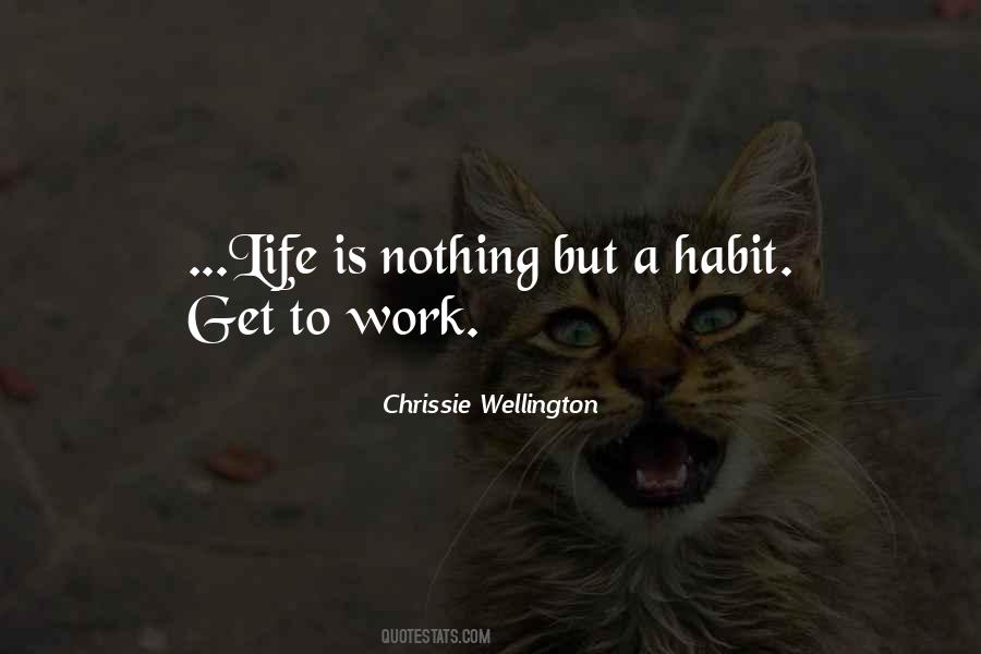 Chrissie Wellington Quotes #194976