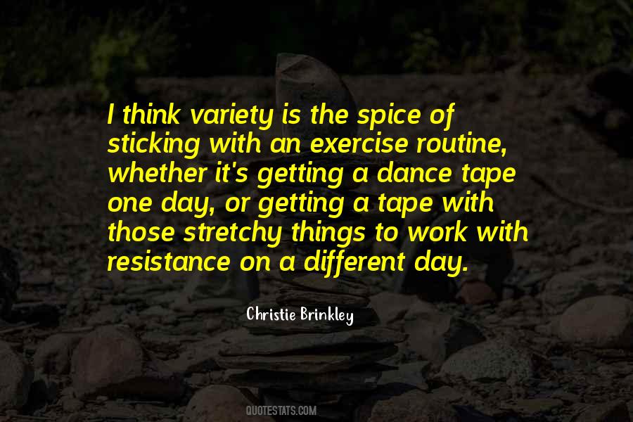 Christie Brinkley Quotes #1377577