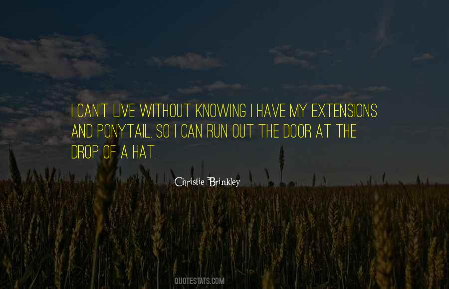 Christie Brinkley Quotes #1727019