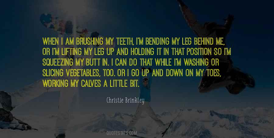 Christie Brinkley Quotes #466213