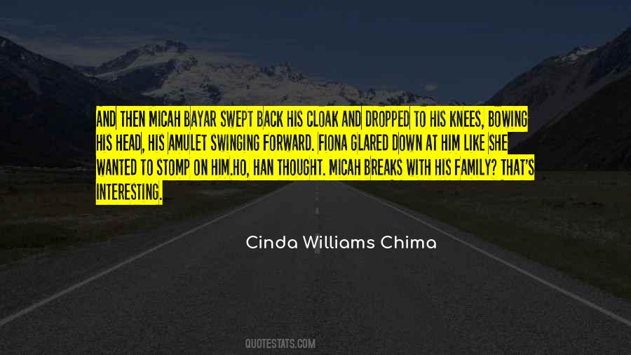 Cinda Williams Chima Quotes #777165