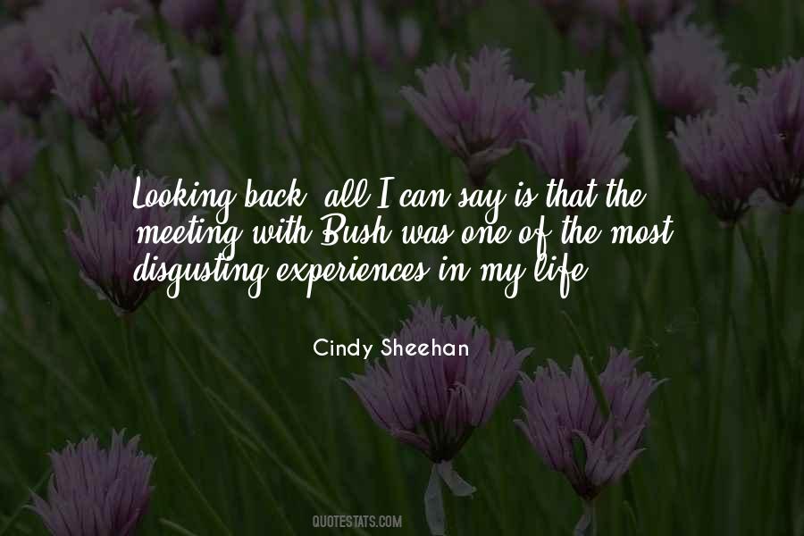 Cindy Sheehan Quotes #1741147