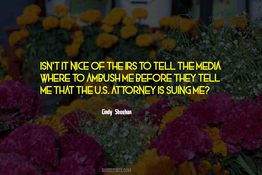 Cindy Sheehan Quotes #835938