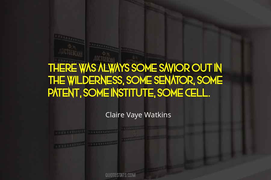 Claire Vaye Watkins Quotes #25419