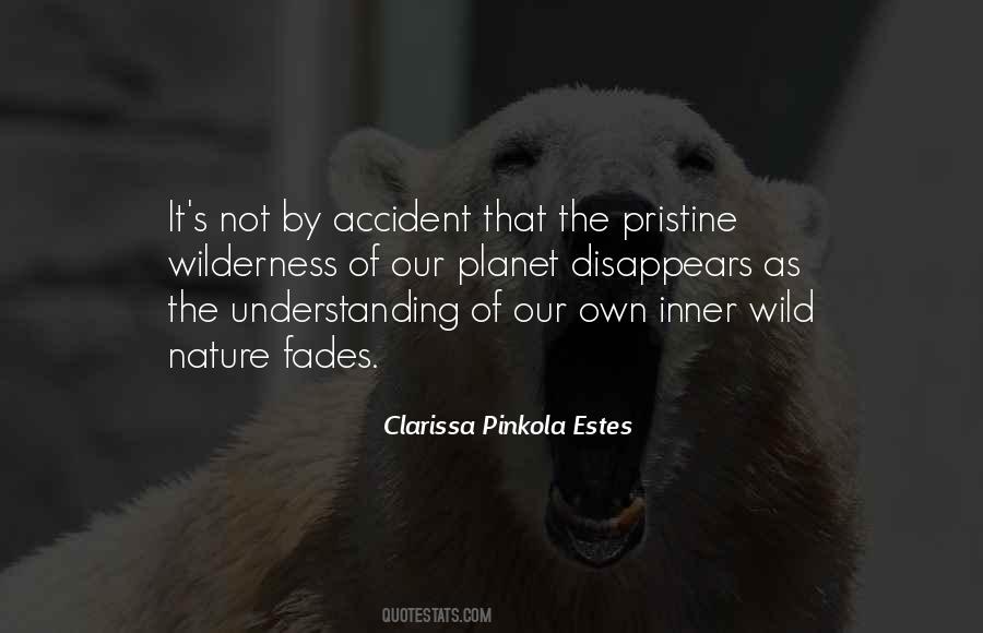 Clarissa Pinkola Estes Quotes #1432650