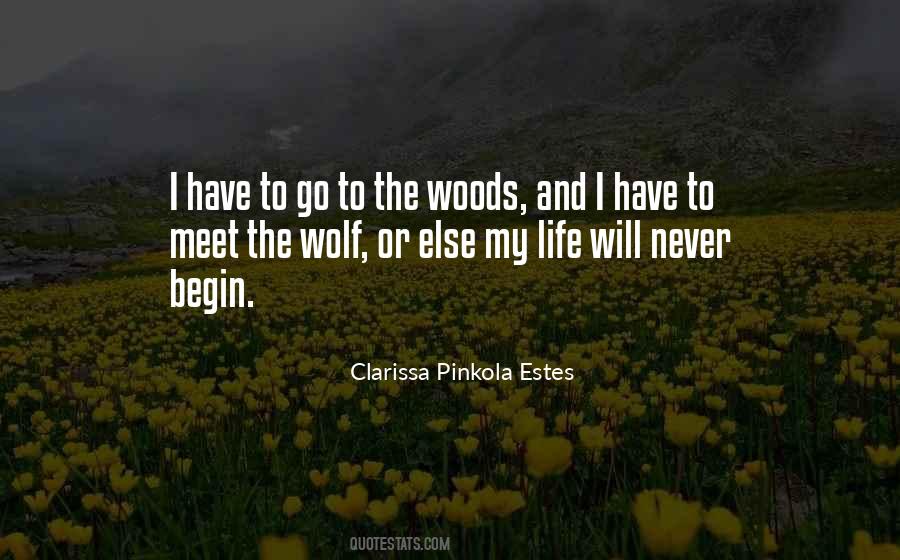 Clarissa Pinkola Estes Quotes #498542