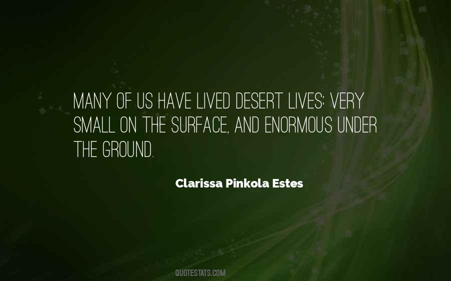 Clarissa Pinkola Estes Quotes #892138