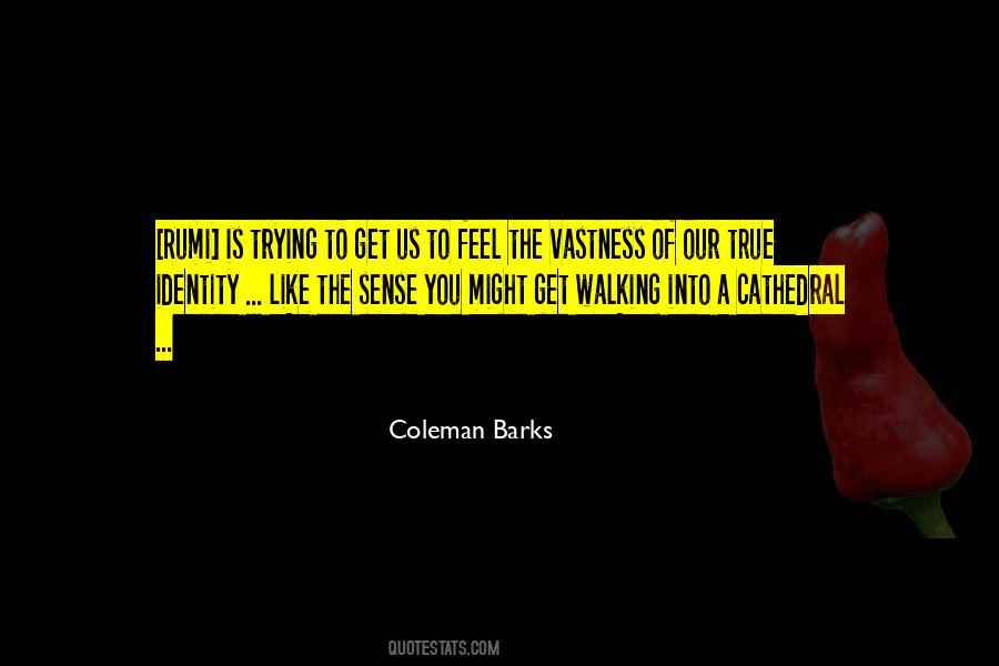 Coleman Barks Quotes #210894