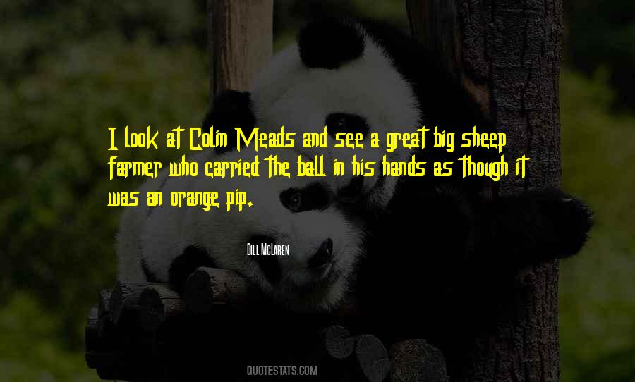 Colin Meads Quotes #984482