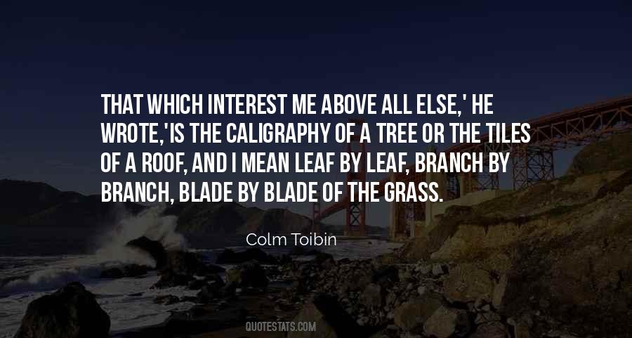 Colm Toibin Quotes #1053530