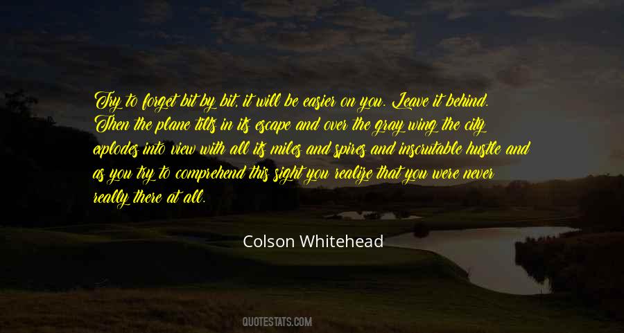 Colson Whitehead Quotes #773821