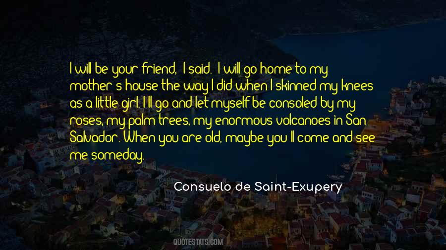 Consuelo De Saint Exupery Quotes #804454