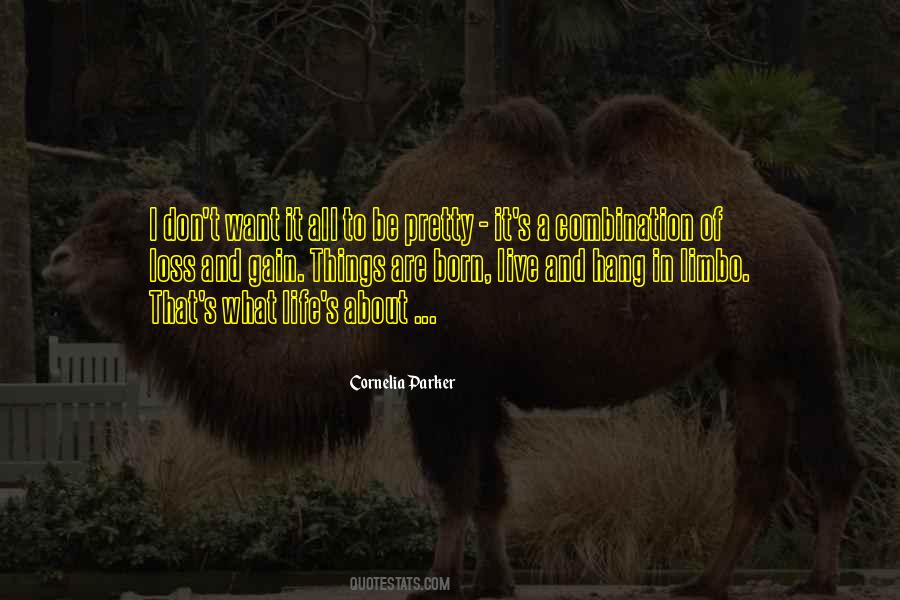 Cornelia Parker Quotes #1254824