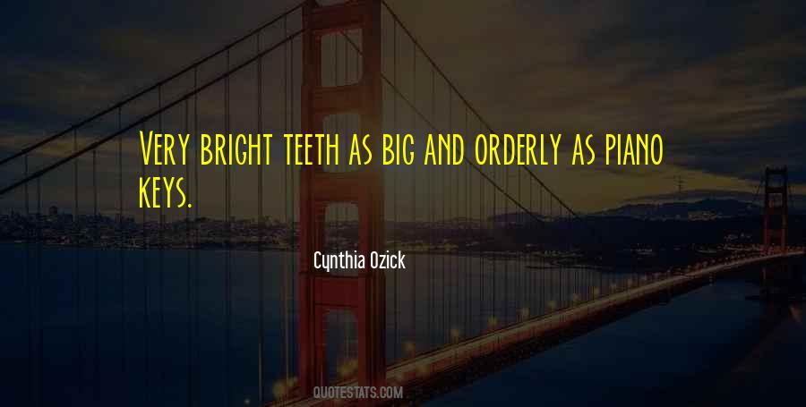 Cynthia Ozick Quotes #342020