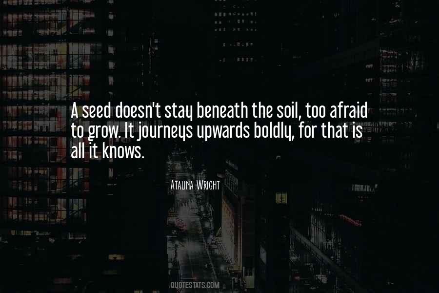 Quotes About A Seed #1086942