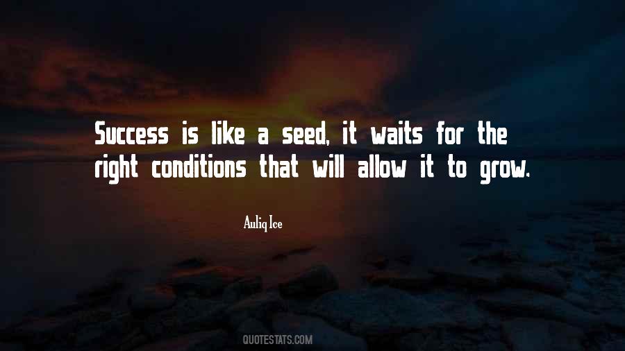 Quotes About A Seed #1355348