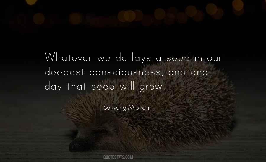 Quotes About A Seed #991398