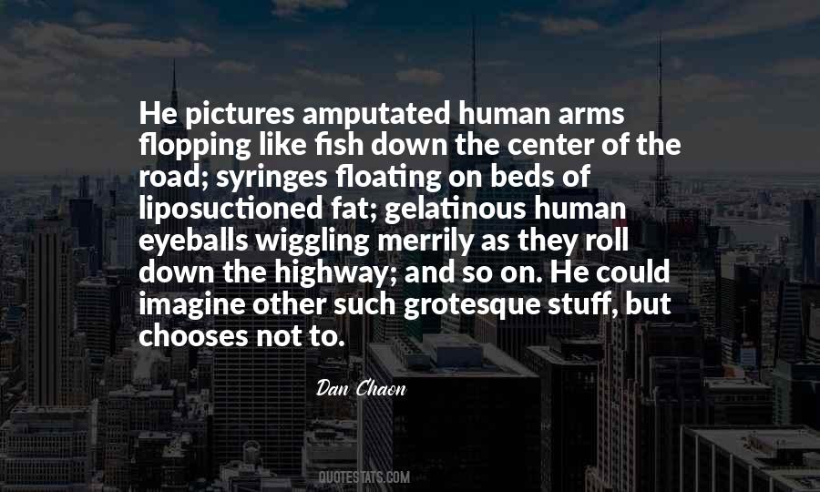 Dan Chaon Quotes #230439