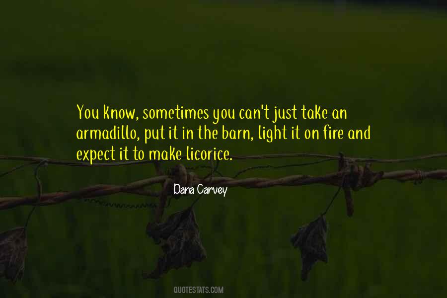 Dana Carvey Quotes #1633869