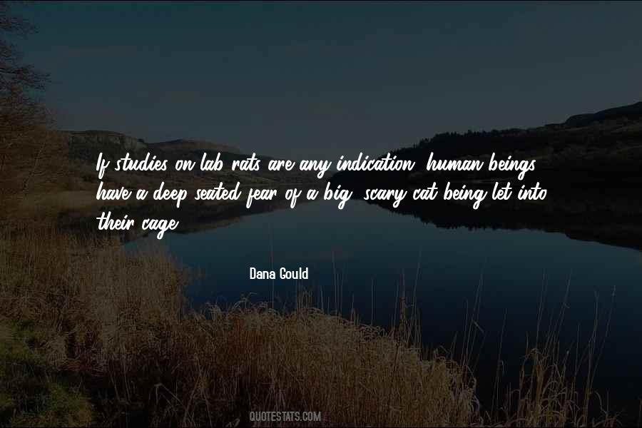 Dana Gould Quotes #792981