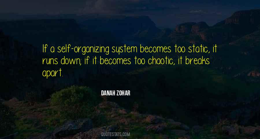 Danah Zohar Quotes #454226