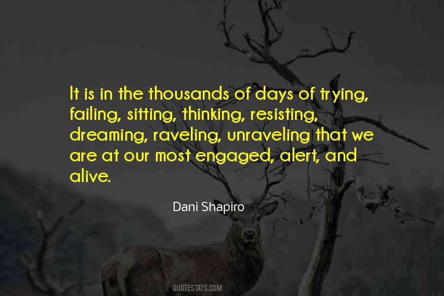 Dani Shapiro Quotes #1239060