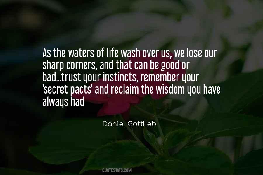 Daniel Gottlieb Quotes #675219