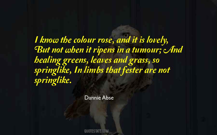 Dannie Abse Quotes #945103