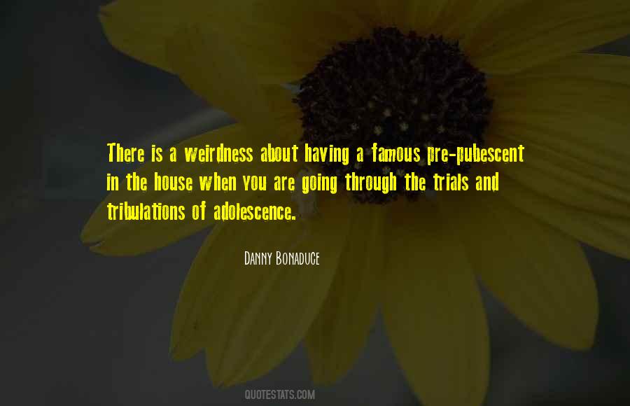 Danny Bonaduce Quotes #679110