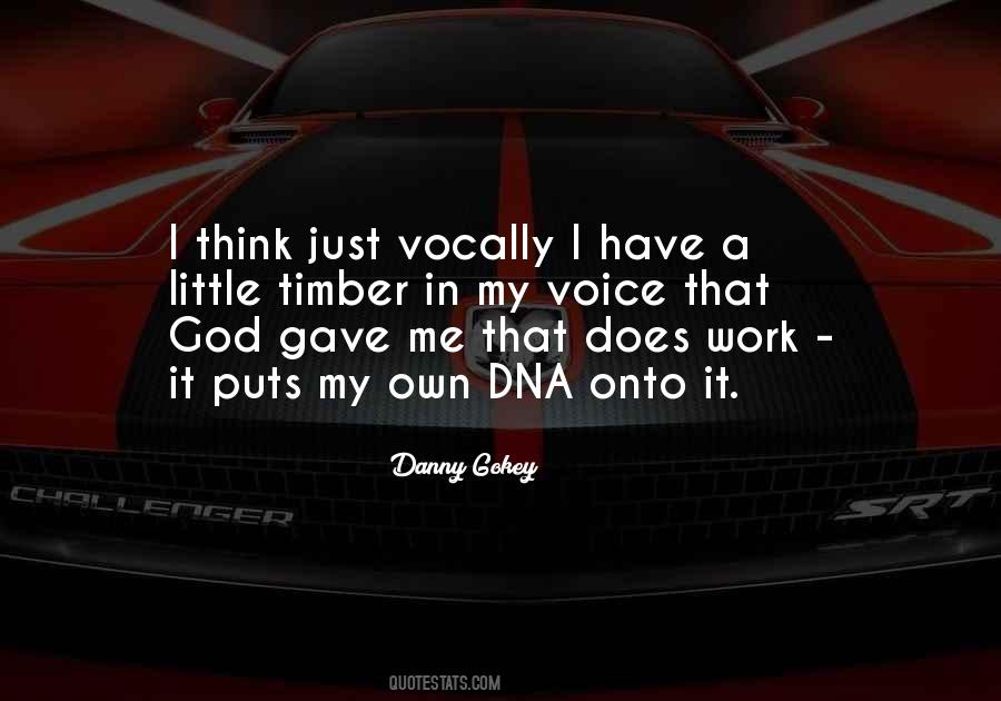 Danny Gokey Quotes #453833