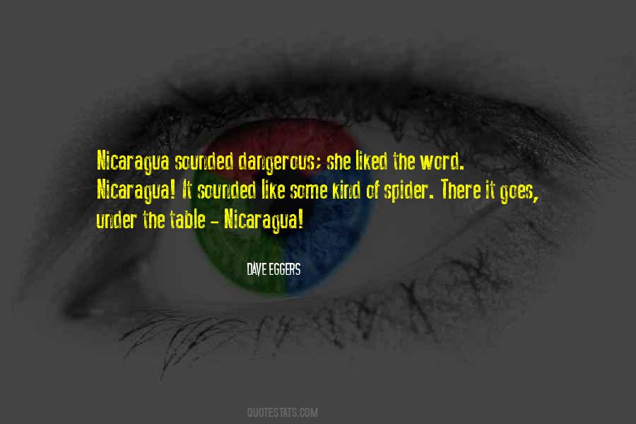 Dave Eggers Quotes #92639