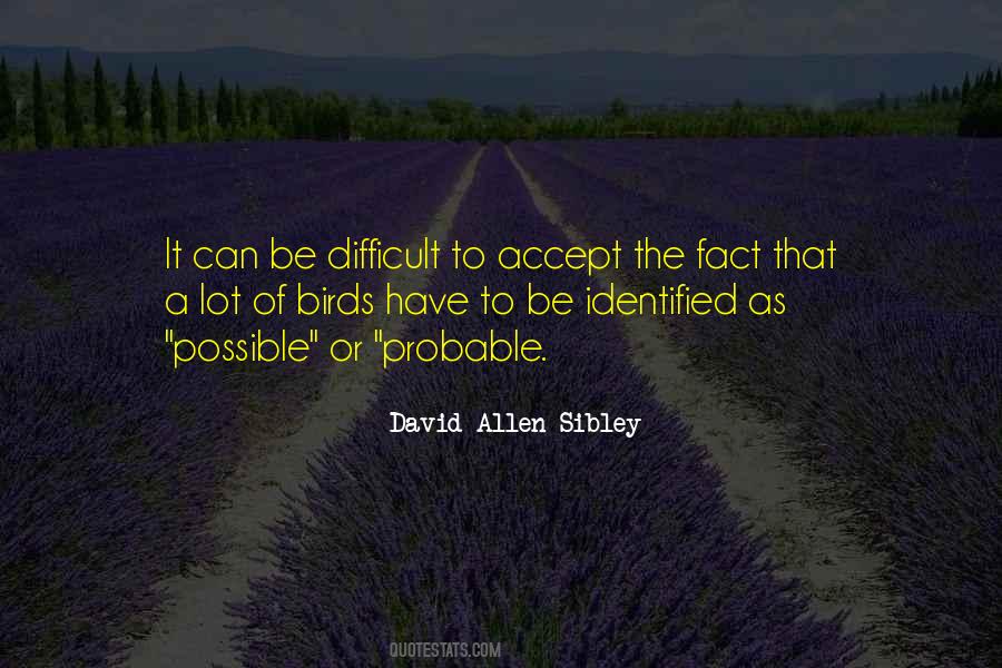 David Allen Quotes #205980