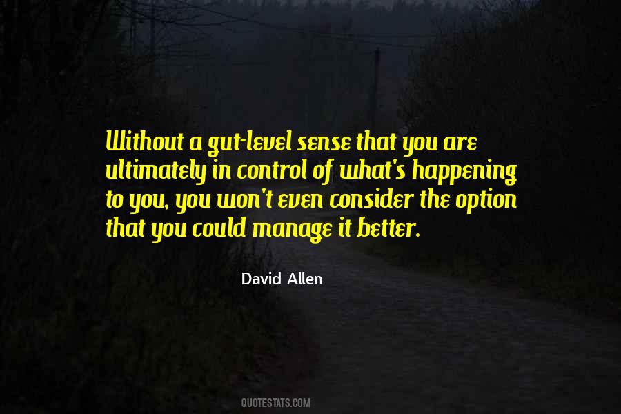 David Allen Quotes #662878