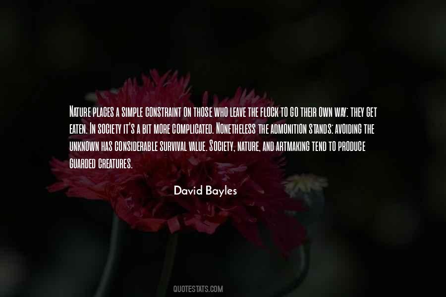 David Bayles Quotes #662150