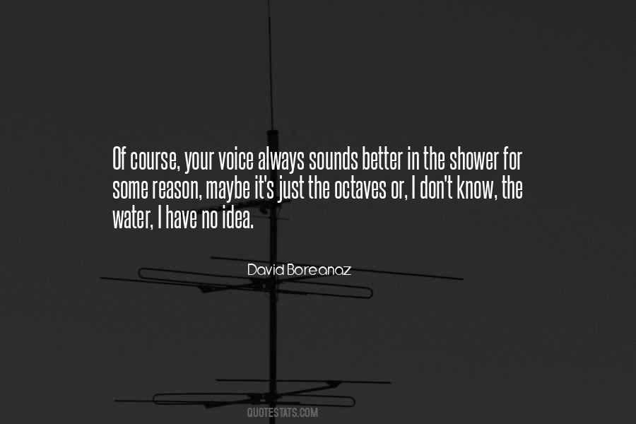 David Boreanaz Quotes #861483