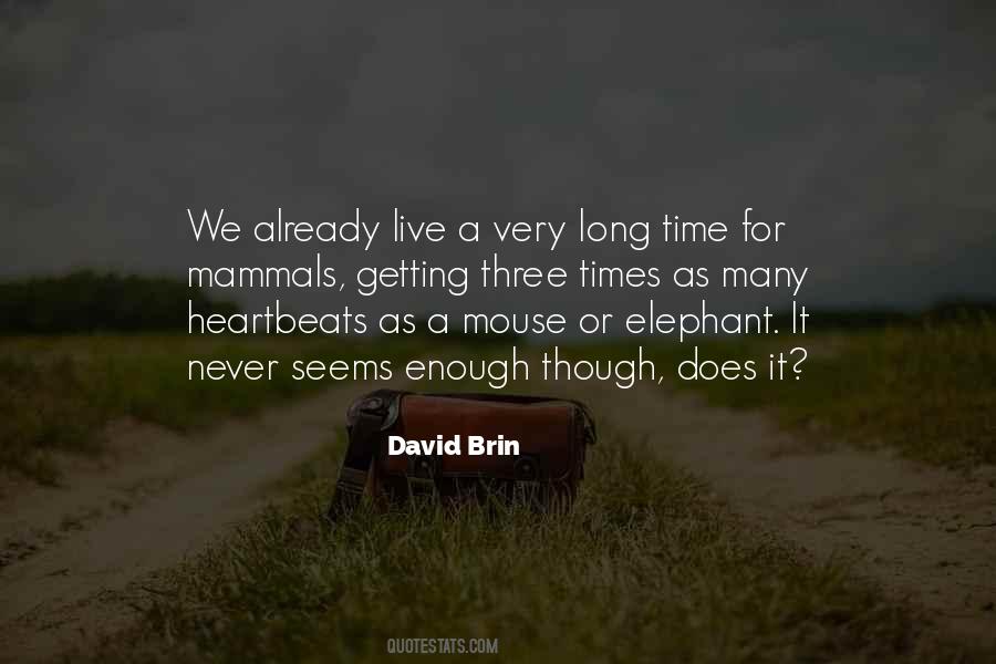 David Brin Quotes #783989