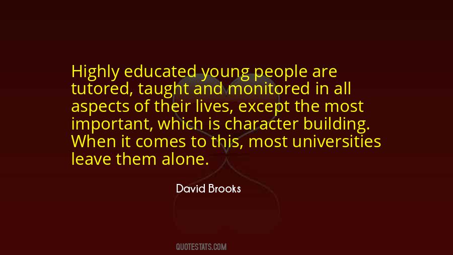 David Brooks Quotes #278071