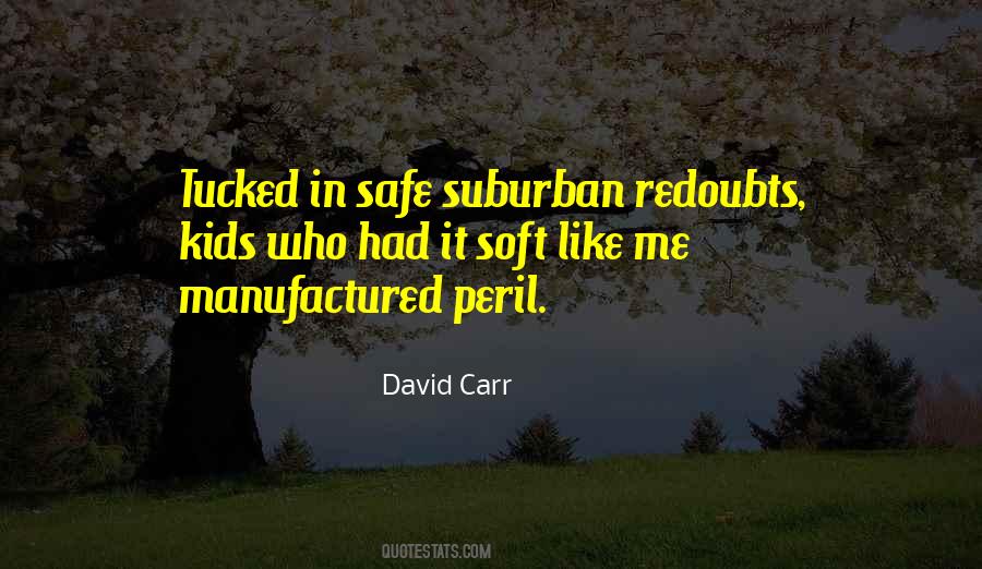 David Carr Quotes #682533