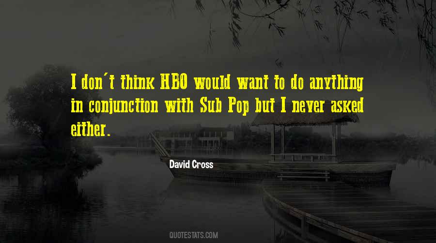 David Cross Quotes #1215063