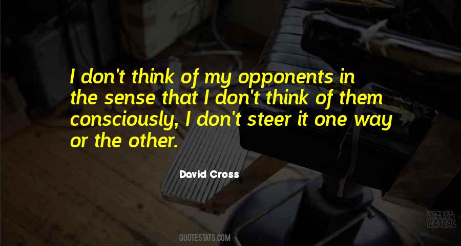 David Cross Quotes #1346045