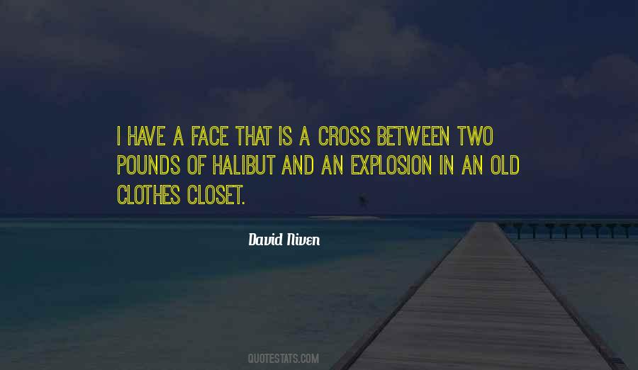 David Cross Quotes #292311