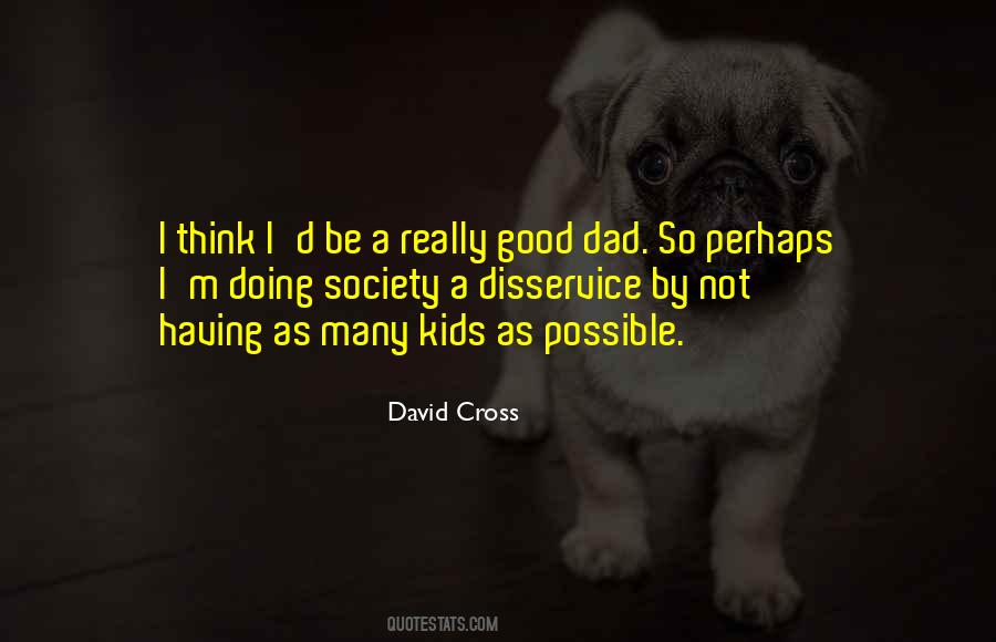 David Cross Quotes #662779