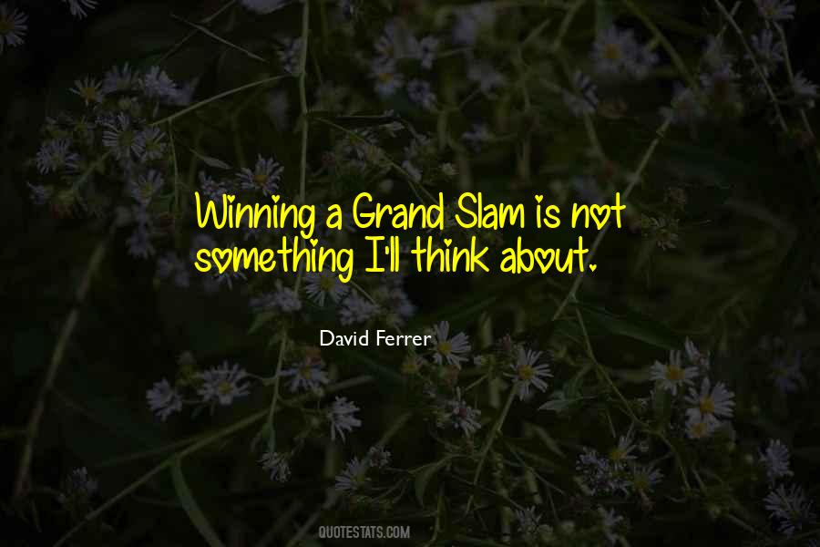 David Ferrer Quotes #608893