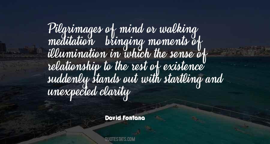 David Fontana Quotes #1414578