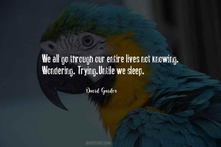 David Gaider Quotes #441758