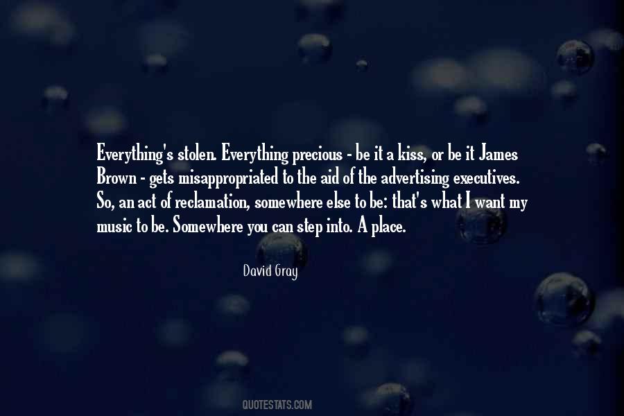 David Gray Quotes #361953