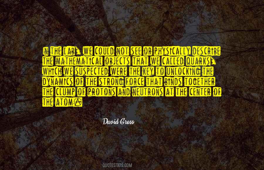 David Gross Quotes #1414564